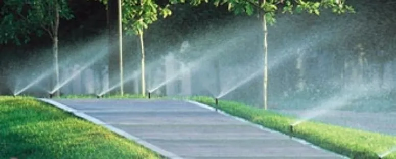 Top-rated lawn mowing service in Miami, FL by Curbside Creations