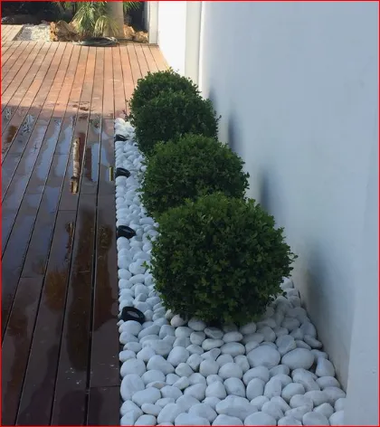 Expert yard maintenance in Miami, FL - Curbside Creations