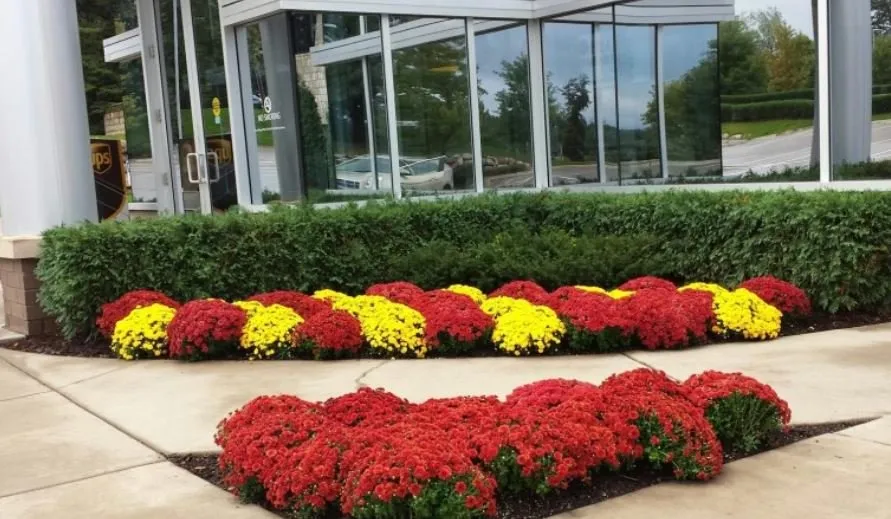 Custom garden landscaping in Miami, FL by Curbside Creations