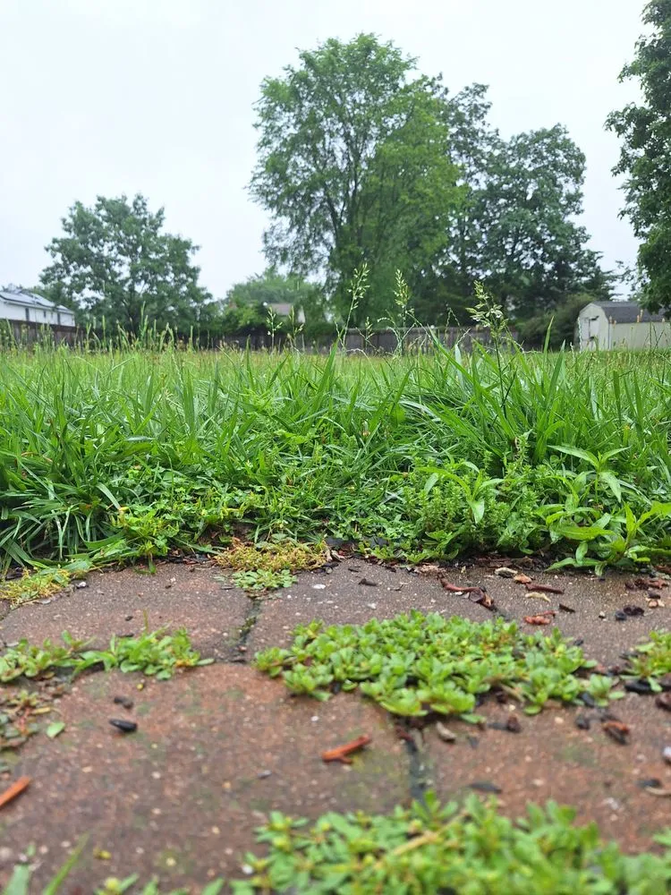 Trusted garden landscaping in Piscataway, NJ by Curbside Lawn And Landscape