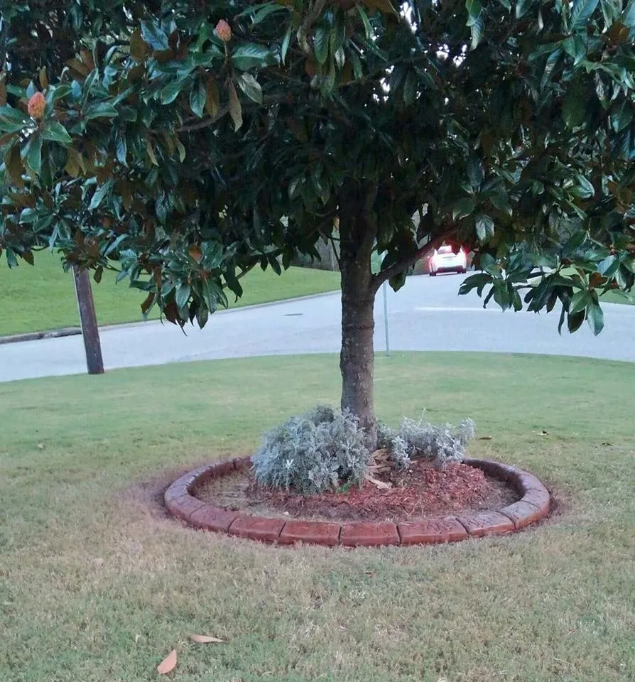 Custom lawn care service for year-round maintenance across Cumming, GA - Curbtastic Curbs