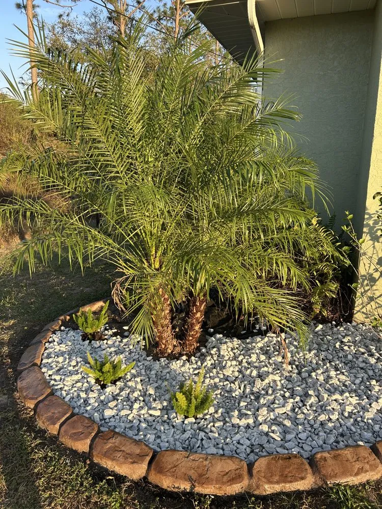 Local yard cleanup service in North Port, FL by Curbwyzer