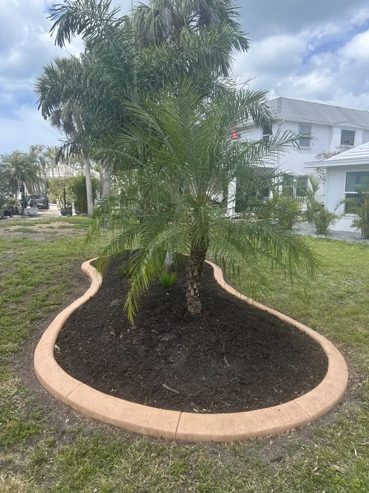 Local landscape installation in North Port, FL by Curbwyzer