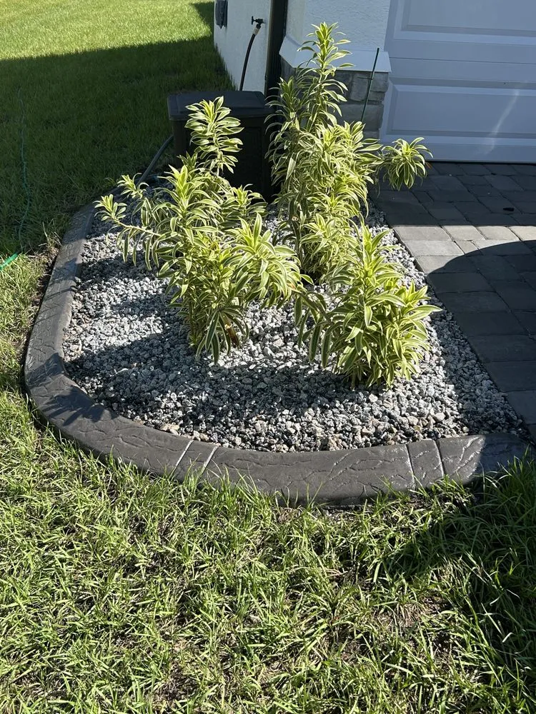 Custom yard cleanup service for beautiful yards across North Port, FL - Curbwyzer