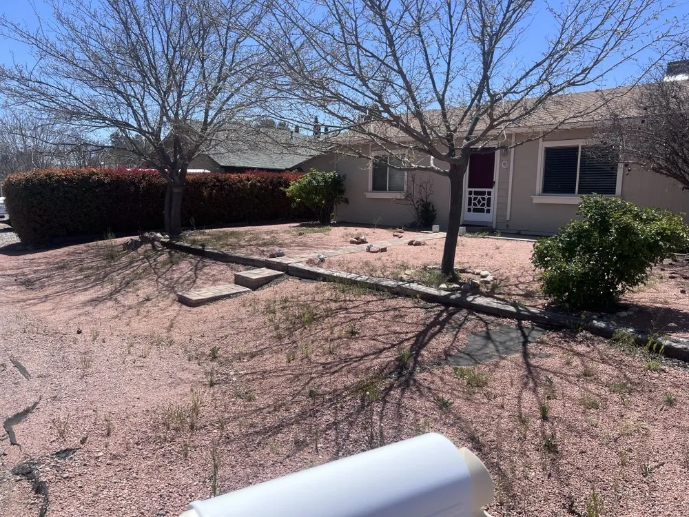 Top-rated yard cleanup service in Cottonwood, AZ by CureAZ