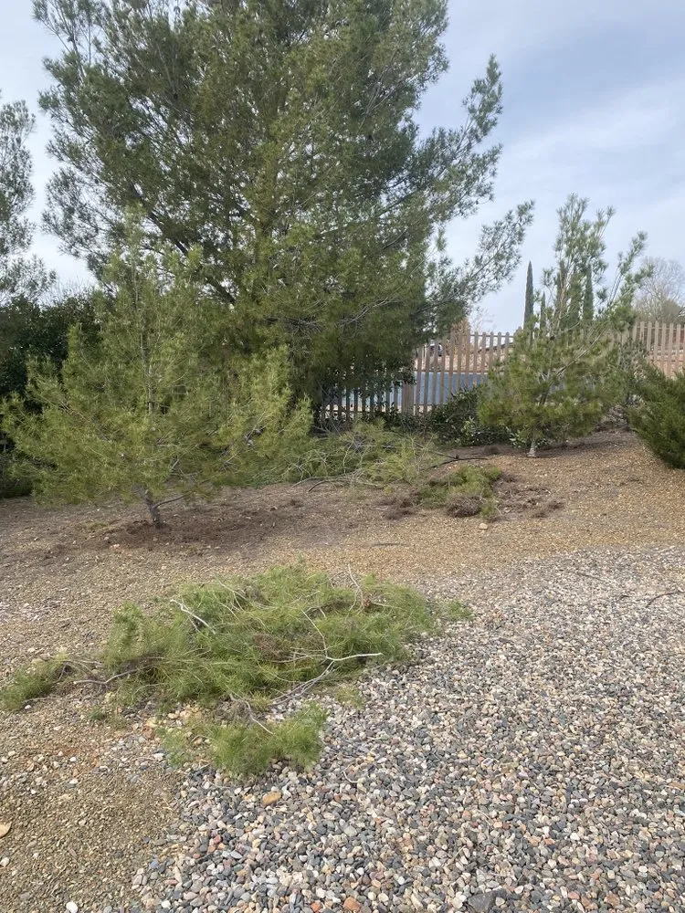 Professional residential landscaping experts serving Cottonwood, AZ - CureAZ