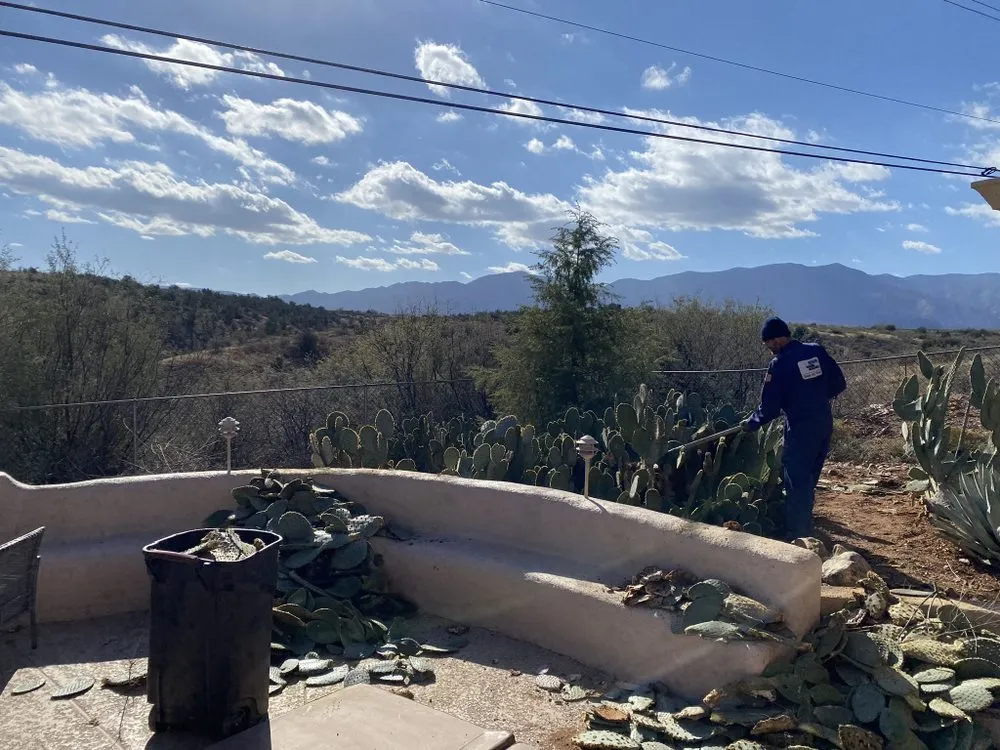 Local lawn care service in Cottonwood, AZ by CureAZ