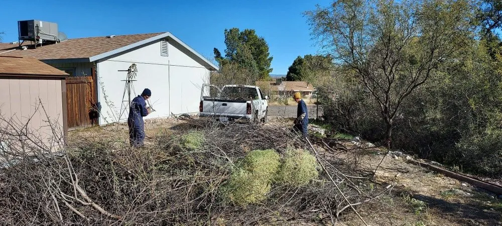 Affordable yard cleanup service in Cottonwood, AZ - CureAZ