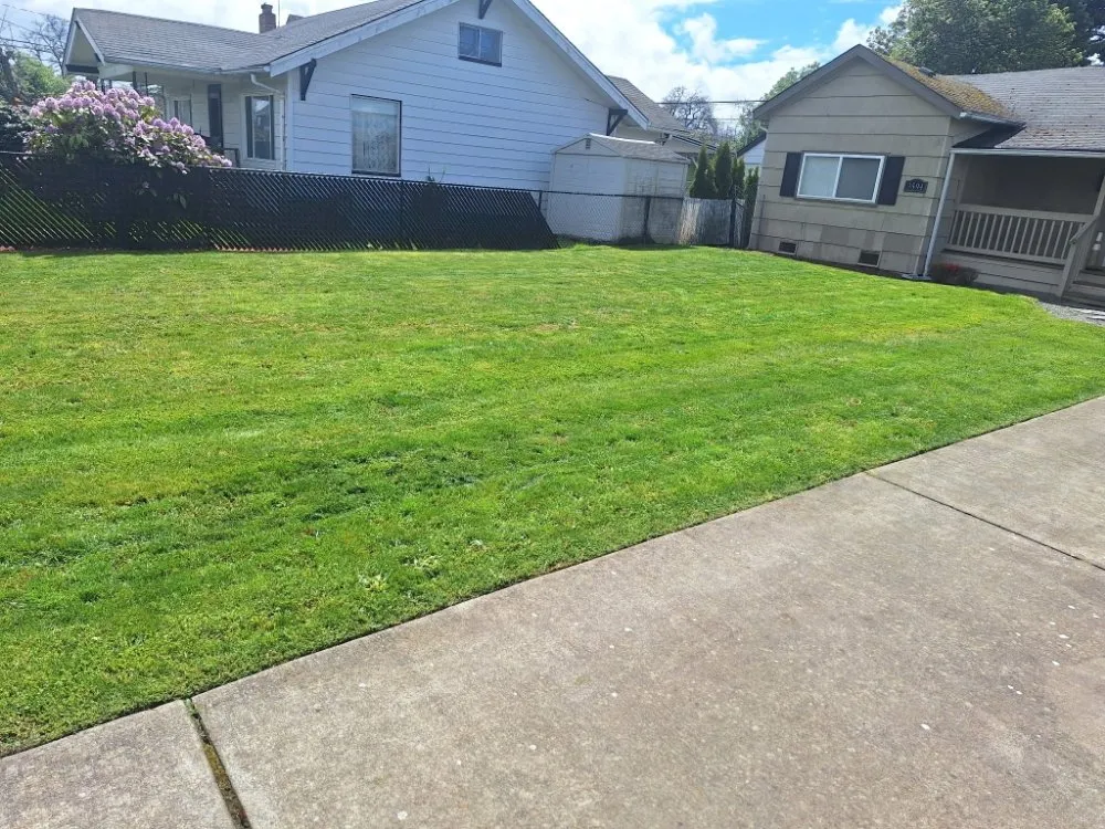 Affordable landscaping services in Lakewood, WA - Curiel Landscaping