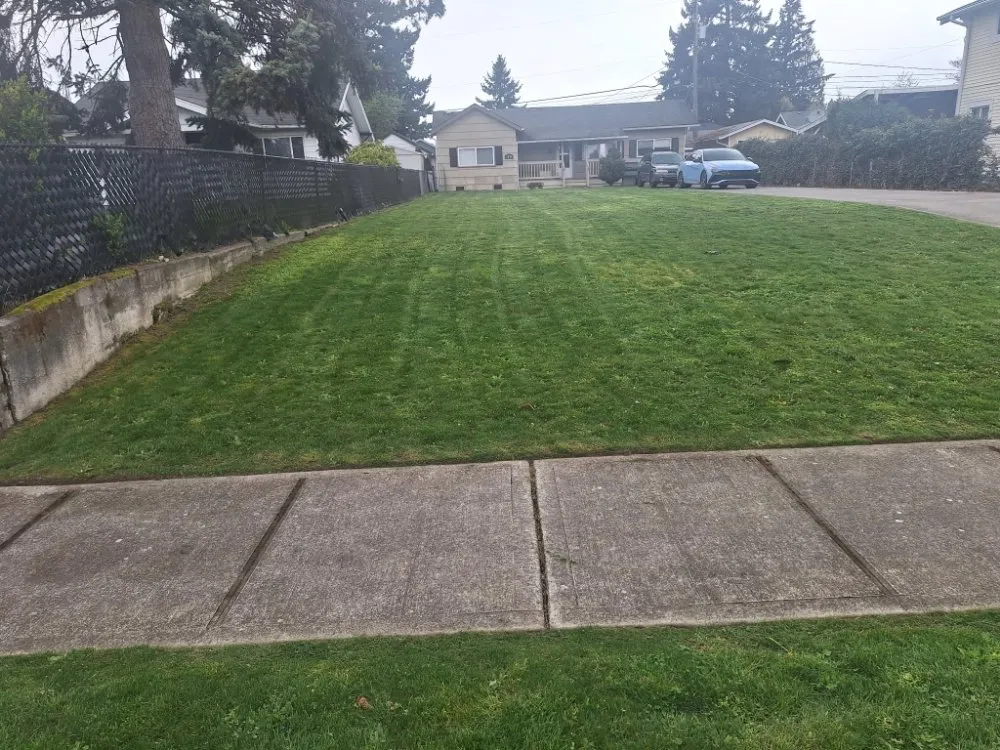 Top-rated yard cleanup service experts serving Lakewood, WA - Curiel Landscaping