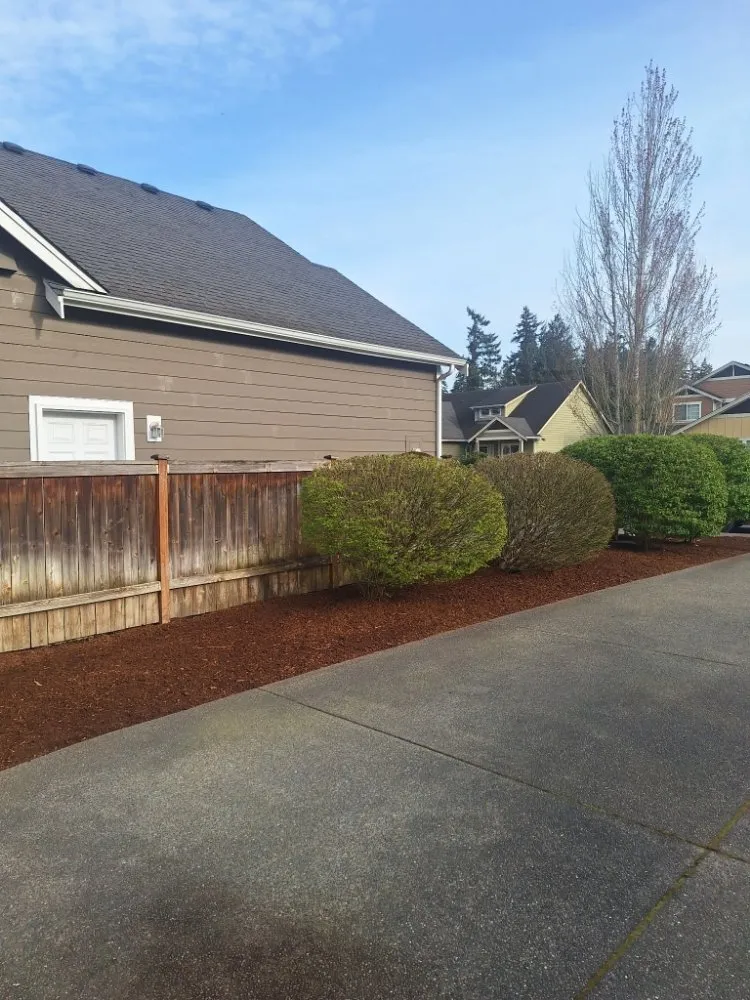 Custom lawn care service in Lakewood, WA by Curiel Landscaping