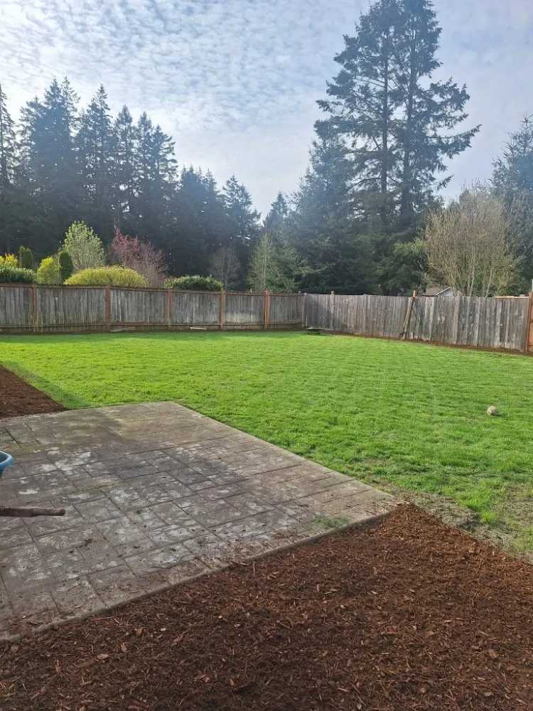 Local yard cleanup service experts serving Lakewood, WA - Curiel Landscaping