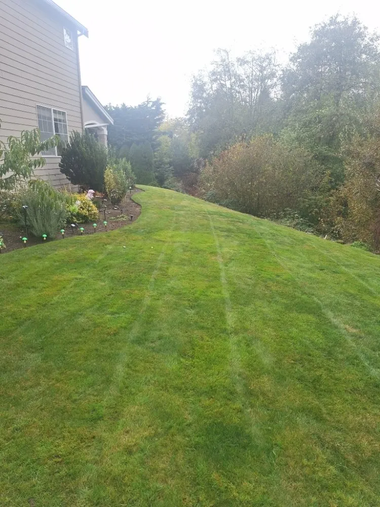 Custom landscape design near you across Lakewood, WA - Curiel Landscaping