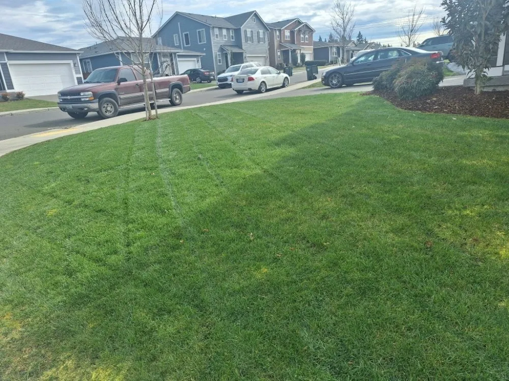Trusted yard maintenance in Lakewood, WA - Curiel Landscaping