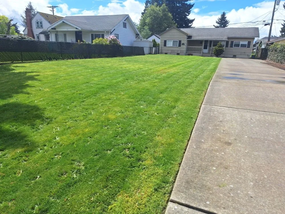 Top-rated lawn mowing service in Lakewood, WA - Curiel Landscaping