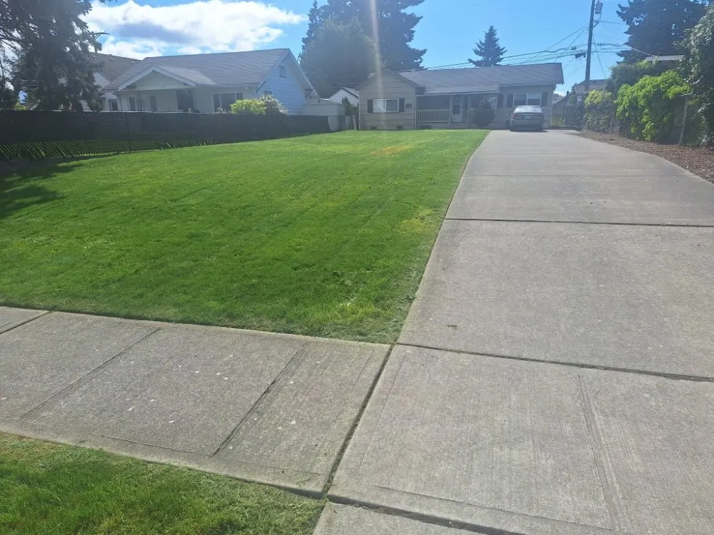 Trusted residential landscaping experts serving Lakewood, WA - Curiel Landscaping