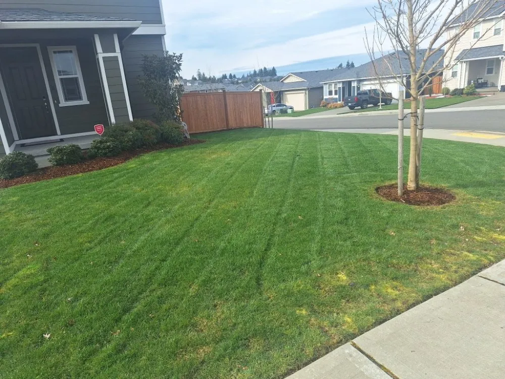 Reliable landscaping services for outdoor upgrades in Lakewood, WA by Curiel Landscaping
