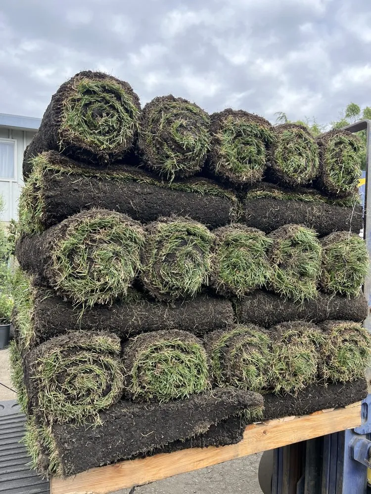 Affordable yard maintenance for outdoor upgrades in Redwood City, CA by Curincita's Gardening