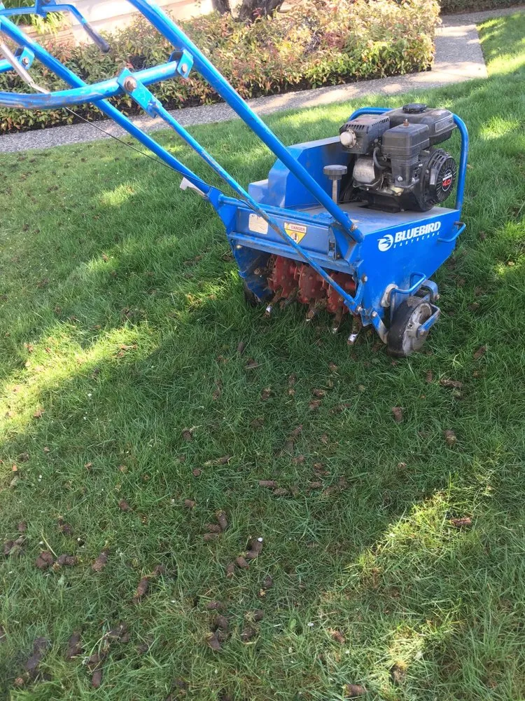 Reliable yard maintenance for residential properties across Redwood City, CA - Curincita's Gardening