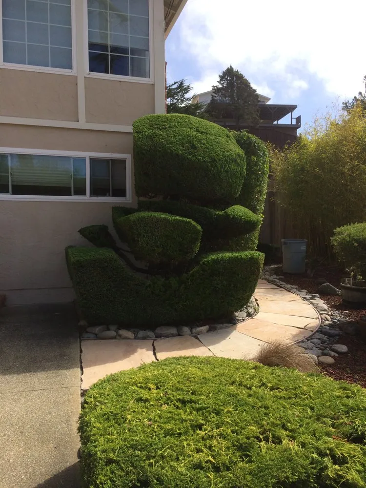 Local garden landscaping in Redwood City, CA by Curincita's Gardening