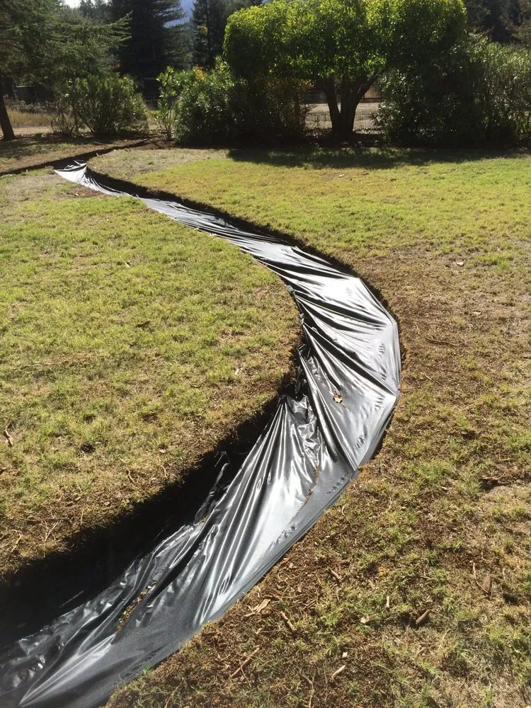 Reliable lawn care service in Redwood City, CA by Curincita's Gardening