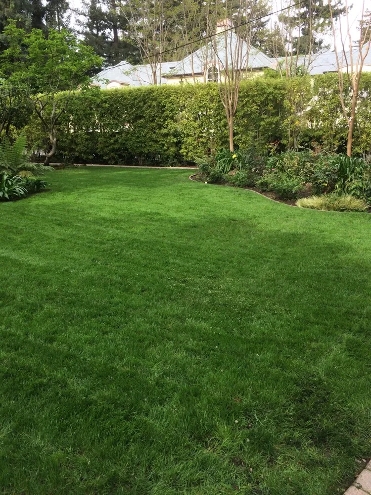 Trusted residential landscaping in Redwood City, CA - Curincita's Gardening