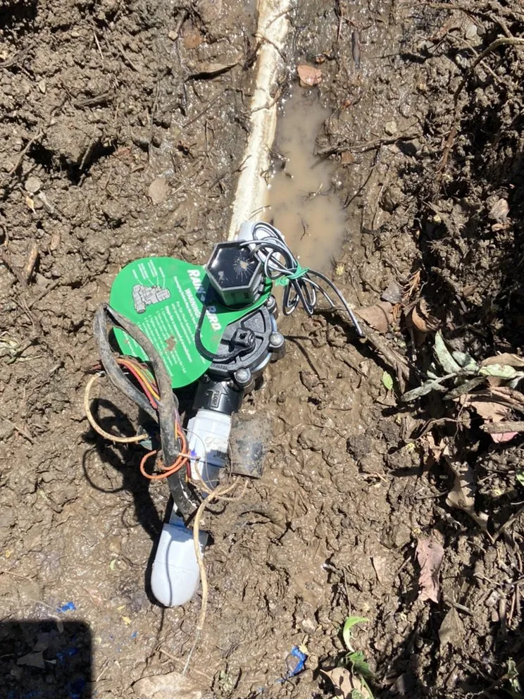 Trusted outdoor landscaping for beautiful yards in Redwood City, CA by Curincita's Gardening