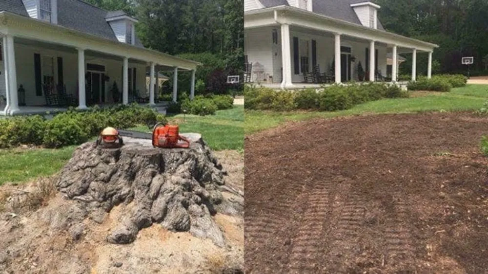 Top-rated landscape installation in Jennings, LA by Curlys Stump Removal