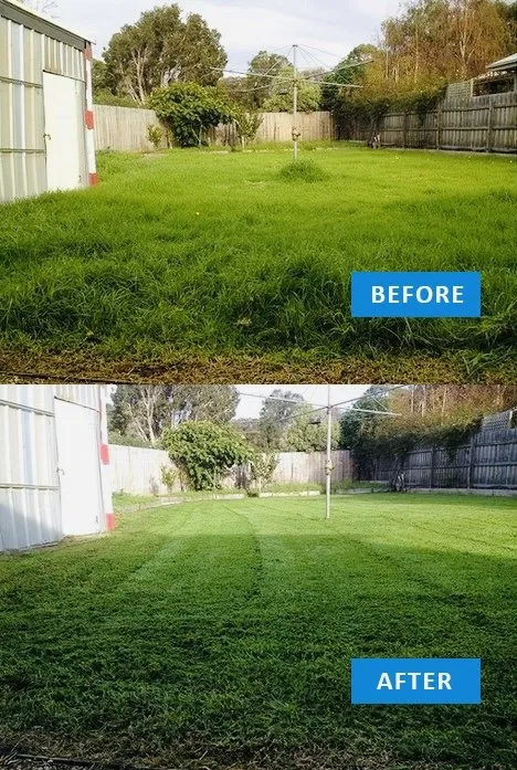 Reliable lawn mowing service in Toccoa, GA by Currahee Lawn Care