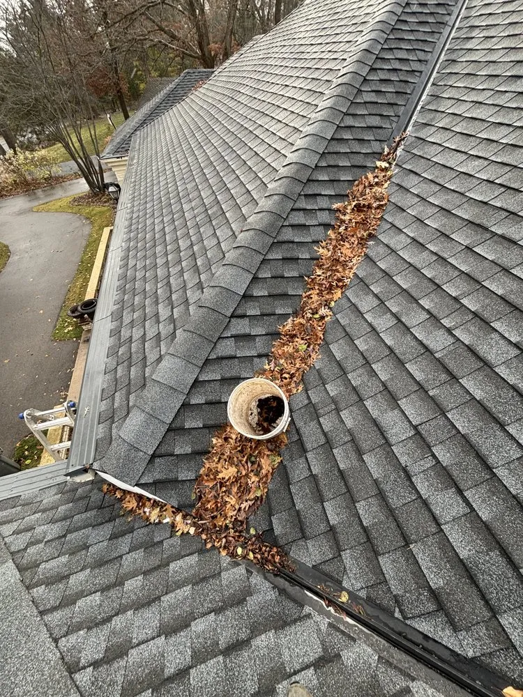 Trusted lawn care service in Prior Lake, MN - Curran Services