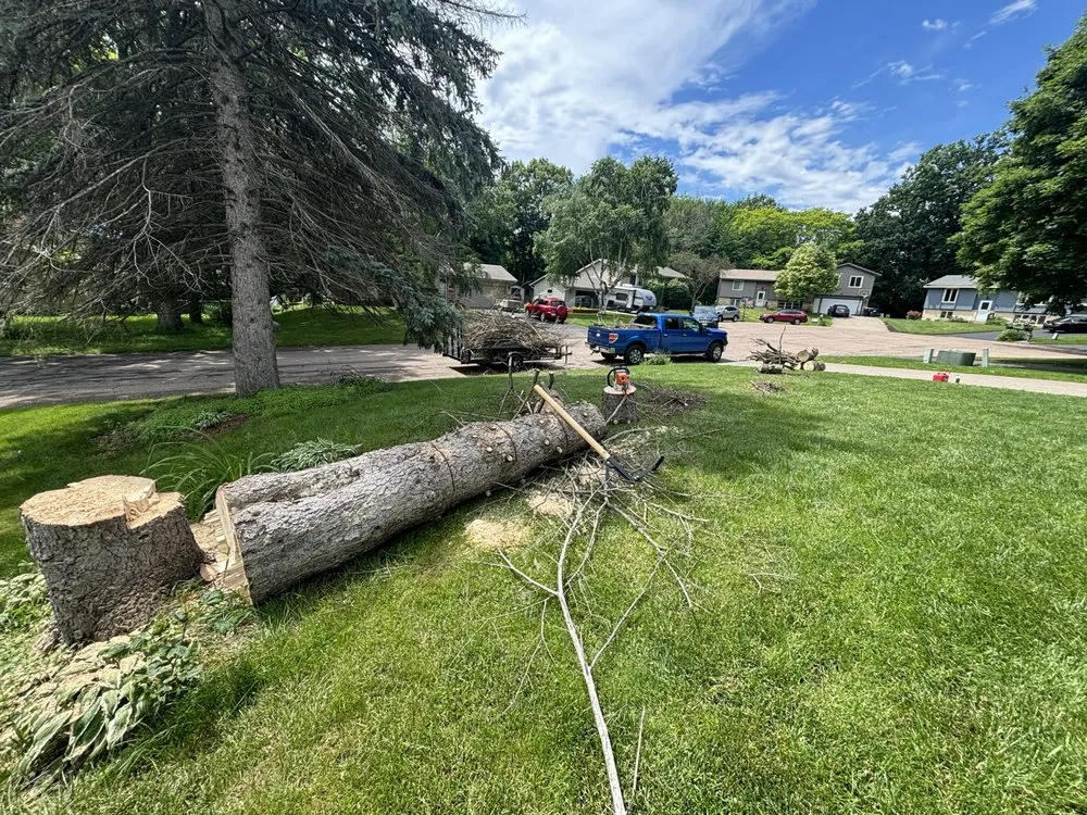 Professional residential landscaping for beautiful yards across Prior Lake, MN - Curran Services