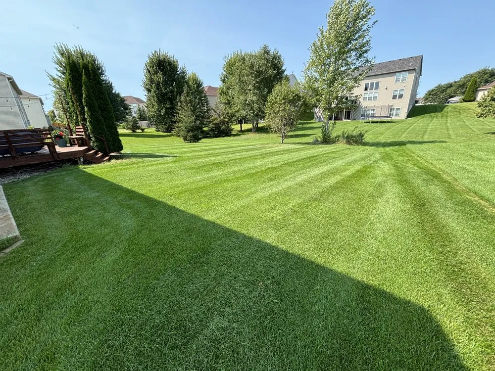 Professional landscape installation in Prior Lake, MN by Curran Services