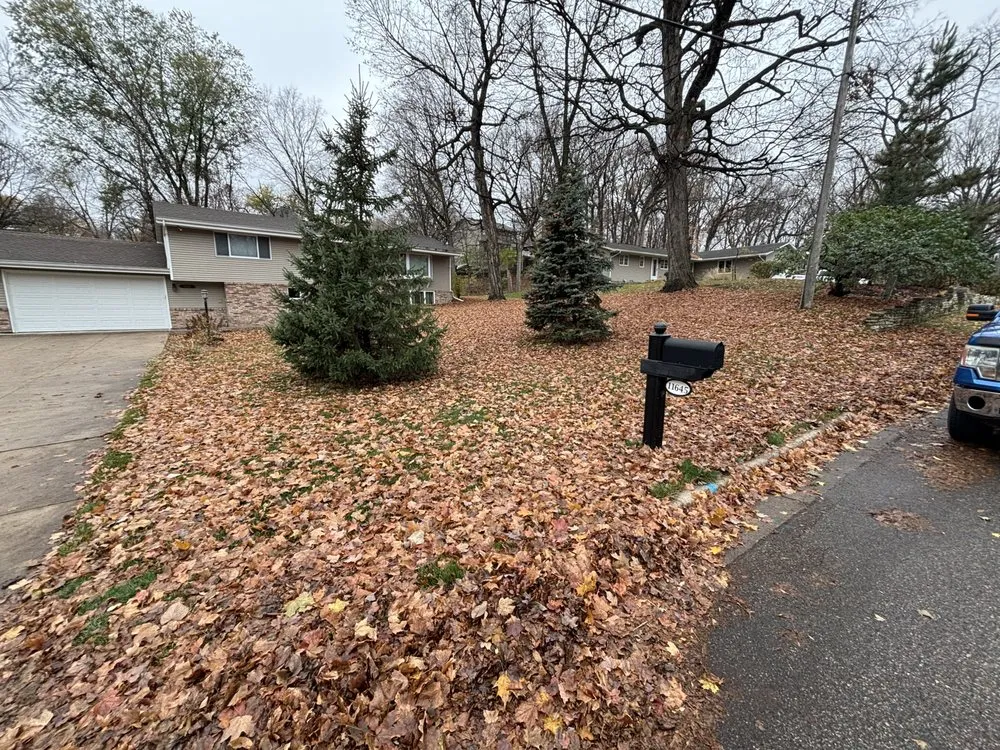 Top-rated outdoor landscaping in Prior Lake, MN by Curran Services