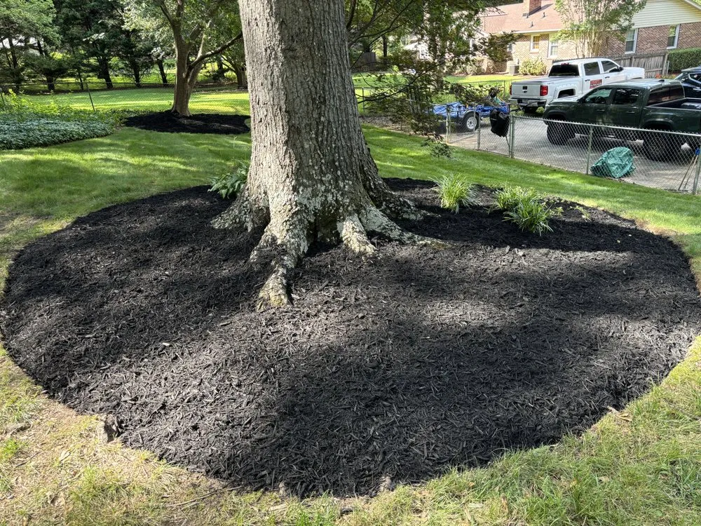 Trusted lawn mowing service in Greenville, SC - Currence Enterprise