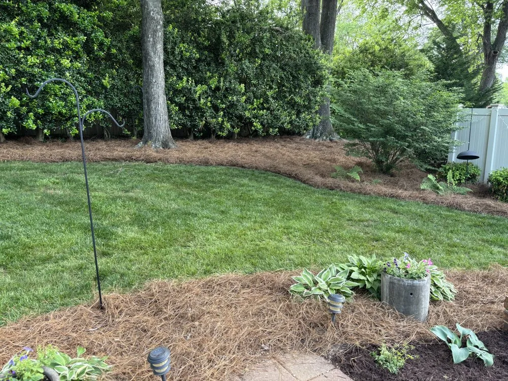 Professional yard cleanup service in Greenville, SC - Currence Enterprise