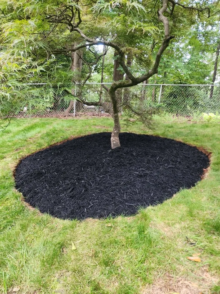 Top-rated landscape design in Greenville, SC by Currence Enterprise