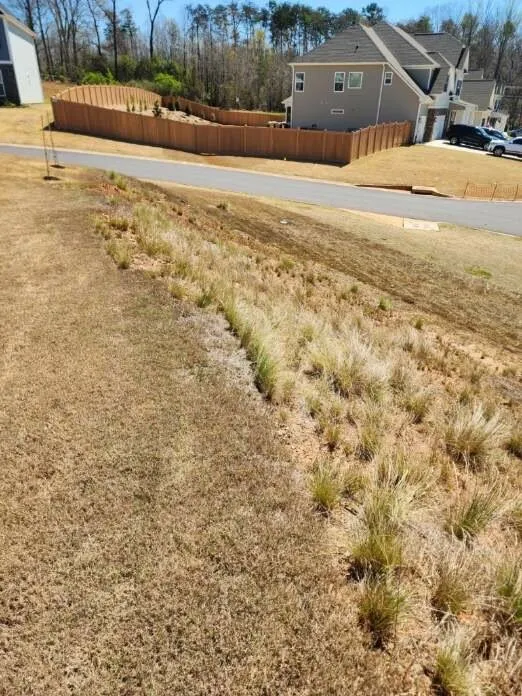 Local yard maintenance in Greenville, SC - Currence Enterprise