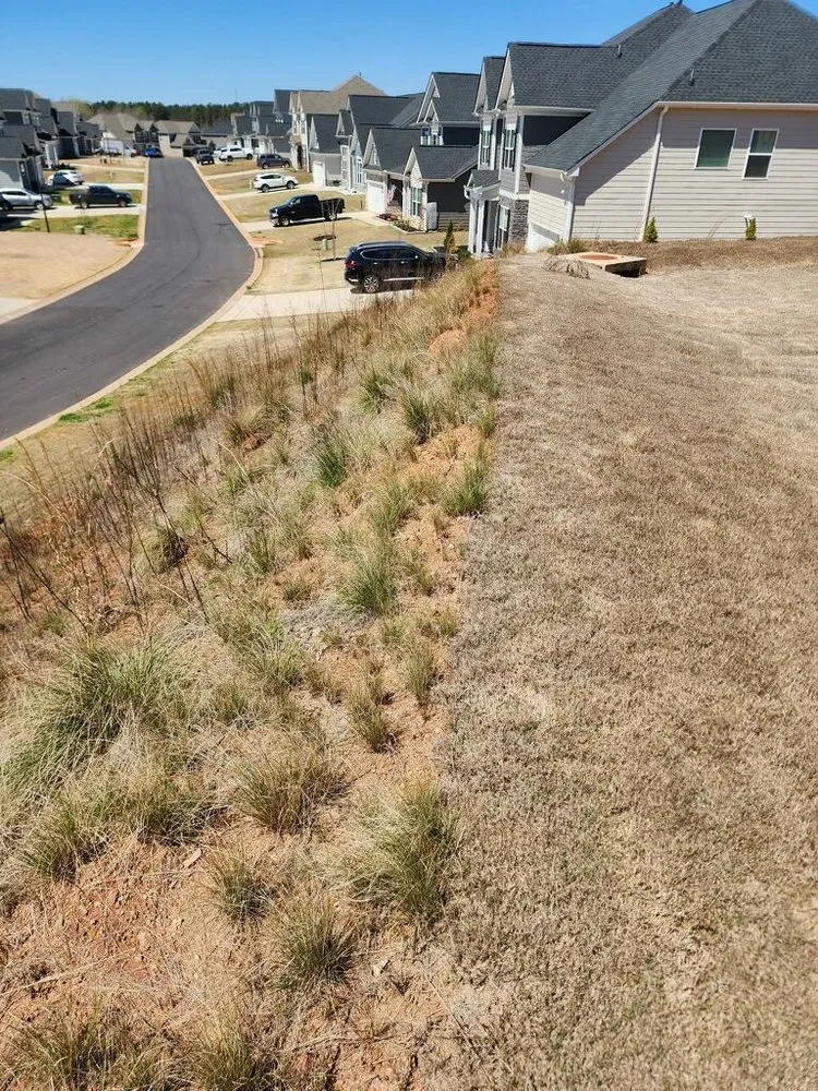 Professional residential landscaping for homes in Greenville, SC by Currence Enterprise