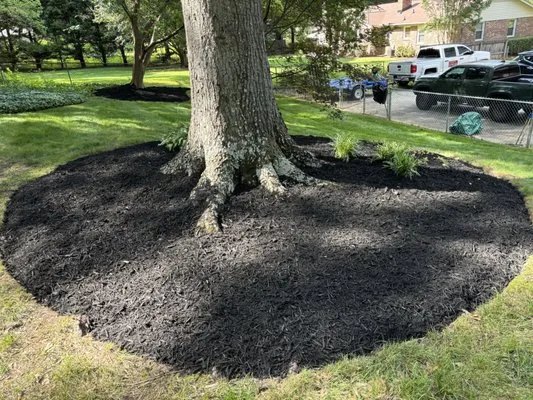 Currence Enterprise Logo