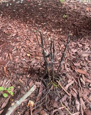 Currin Outdoor Living