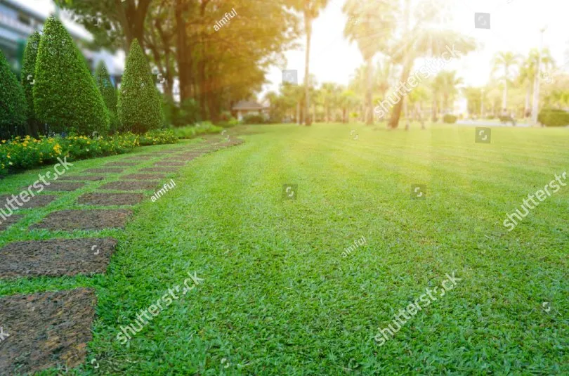 Professional outdoor landscaping for homes across Sodus, NY - Currington Lawn Care