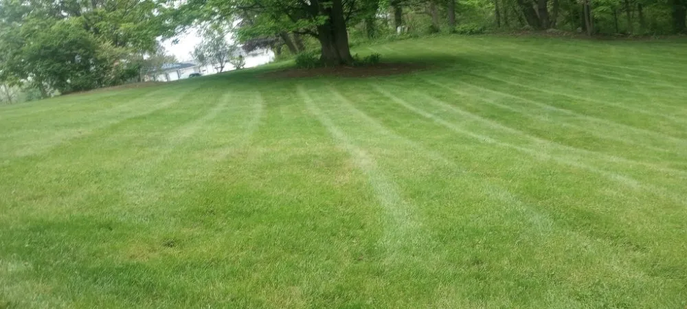 Local residential landscaping for year-round maintenance in Sodus, NY by Currington Lawn Care
