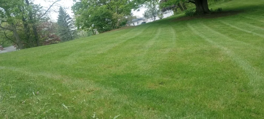 Professional lawn care service for residential properties across Sodus, NY - Currington Lawn Care