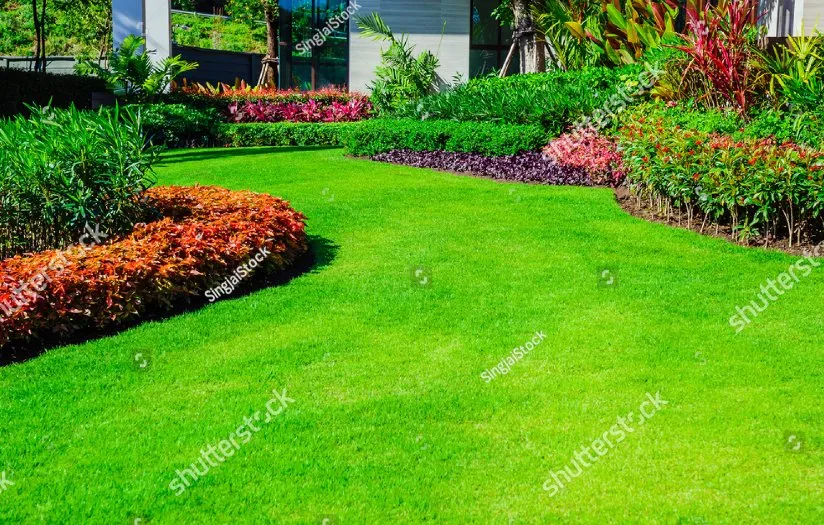 Professional yard maintenance with custom design in Sodus, NY by Currington Lawn Care