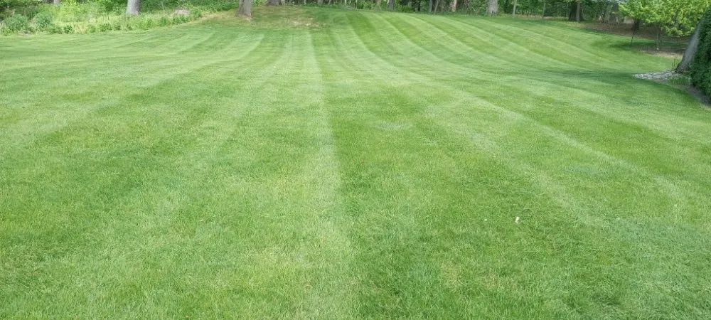 Top-rated residential landscaping for year-round maintenance across Sodus, NY - Currington Lawn Care