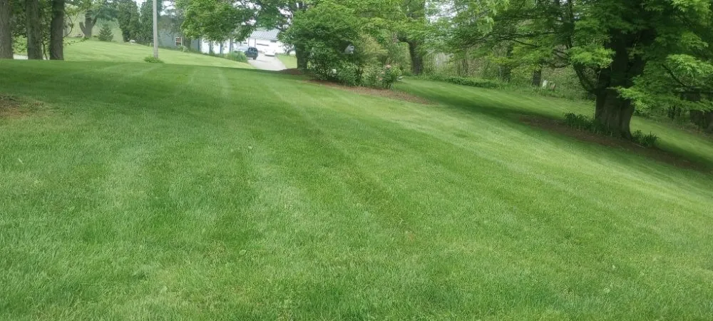 Expert lawn mowing service in Sodus, NY by Currington Lawn Care