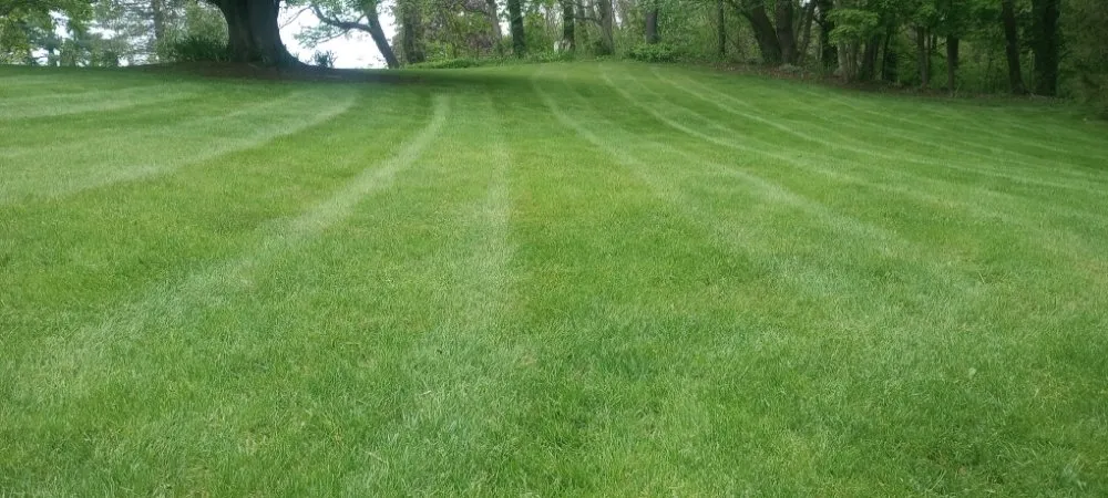 Affordable garden landscaping experts serving Sodus, NY - Currington Lawn Care