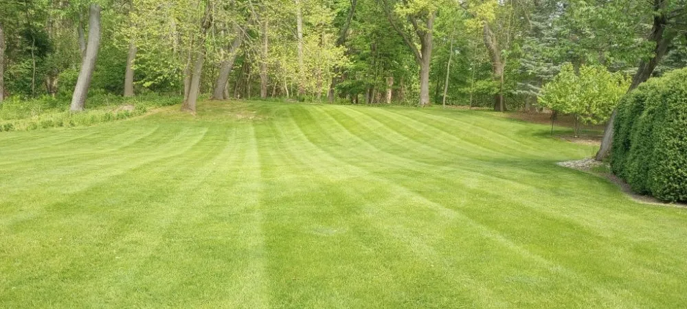 Trusted yard cleanup service for beautiful yards in Sodus, NY by Currington Lawn Care