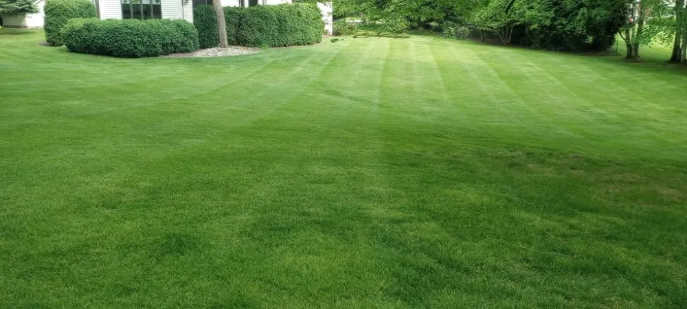 Local landscape installation in Sodus, NY by Currington Lawn Care