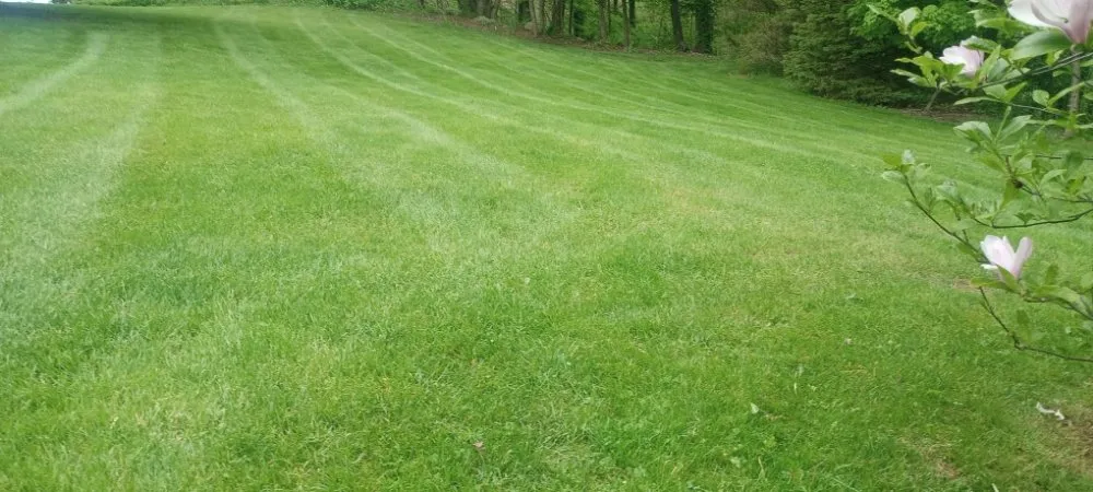 Affordable landscaping services with custom design across Sodus, NY - Currington Lawn Care